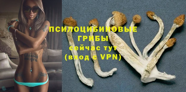 гидропоника Сатка